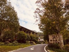 -黄陂区野村谷景区