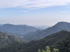 -大岭沟猕猴桃谷风景区