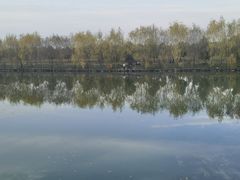 -广富林郊野公园