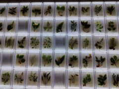 -广东中医药博物馆
