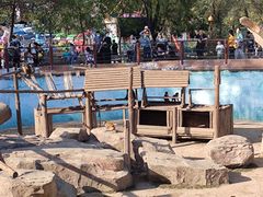 -沈阳森林动物园