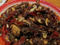 -柴窝堡22号辣子鸡·传承新疆菜