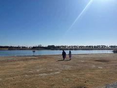 -春花秋色城市公园