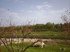 -洨河生态公园