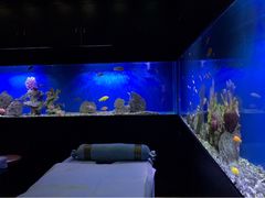 -避尘 Bsense·SPA(新会展总店)