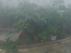 -天源吉布世温泉水乐园