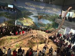 -自贡恐龙博物馆