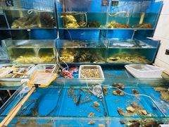 -福建美食城(老君堂店)