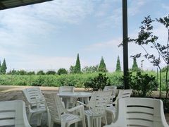 -金谷域澳洲庄园