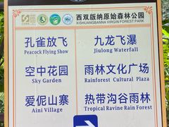-西双版纳原始森林公园