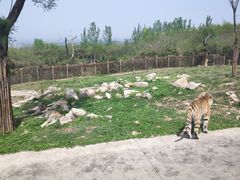 -西安秦岭野生动物园