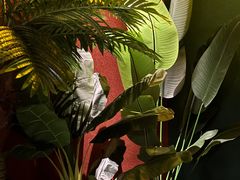 -富侨养生(威宁路店)