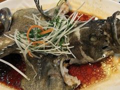 -九號渔港·蒸汽海鲜·粤菜茶点(八卦岭店)