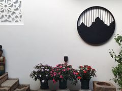 -云涛森林温泉