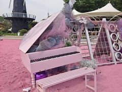 -上海鲜花港