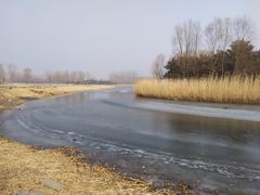 -大兴滨河森林公园