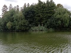 -大宁公园