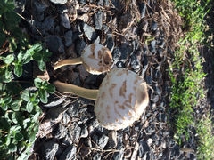iphone_upload_pic-六鳌翡翠湾滨海度假景区
