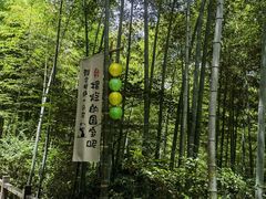 -天目湖山水园