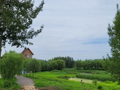 -东郊湿地公园
