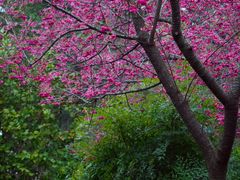 -乌山风景区