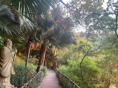 -水濂山森林公园