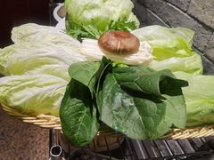 -友乐居羊蝎子(西直门店)