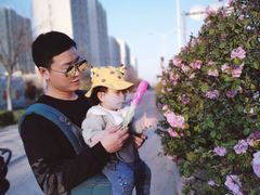 -丁香湖公园