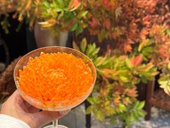 -白鹭·烟汀自然美学餐厅(白鹭湾店)