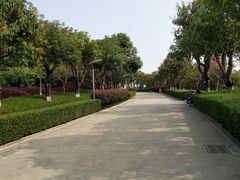 -五通灯塔公园