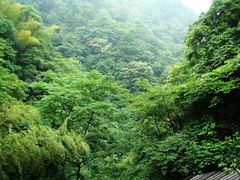 -藏龙百瀑风景区