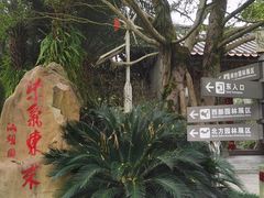 -重庆园博园