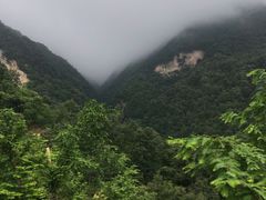 -栾川竹海野生动物园