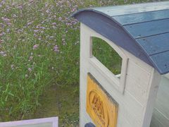 -云峰山自然风景区