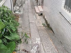 -三溪村