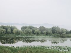 -上海市保健医疗中心