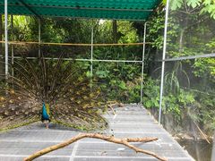 -福建鲤鱼洲酒店