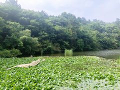-天目湖山水园
