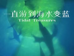 -烟台海昌鲸鲨海洋公园