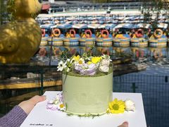 -5Cake五度无蔗糖低脂蛋糕(陶然亭店)