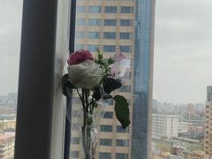 -海底捞火锅(振华广场生日主题店)