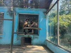 -秦皇岛野生动物园