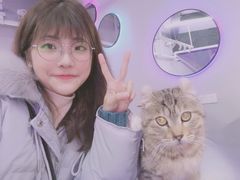 -极木²邸 人与宠物·互动社区