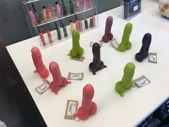 -冰岛阴茎博物馆