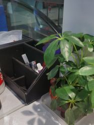 -诗碧曼养发