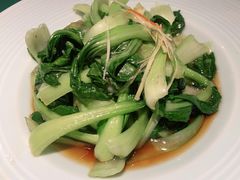 上海青-北方家宴(优托邦科学大道店)