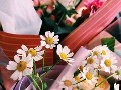 -Flower in(密渡桥店)