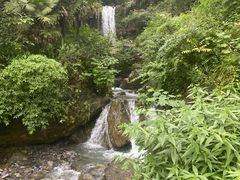 -鹿院坪生态旅游景区