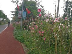 -上海长兴岛郊野公园