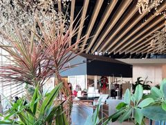 -Seesaw Coffee(朝阳大悦城店)